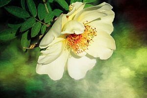 Enchanteur