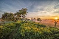 Ein früher Morgen im Frühling