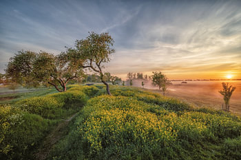 Een vroege morgen in het voorjaar