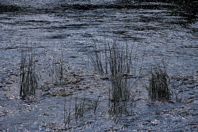 emån Fluss mit Schilf von Geertjan Plooijer