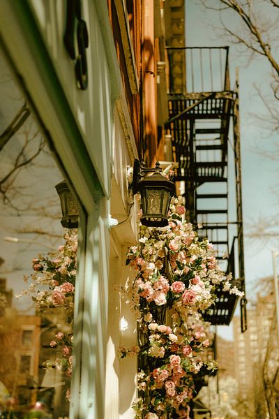 Rosen in New York von Pascal Deckarm
