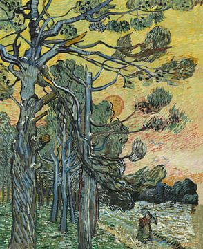 Dennenbomen bij zonsondergang, Vincent van Gogh