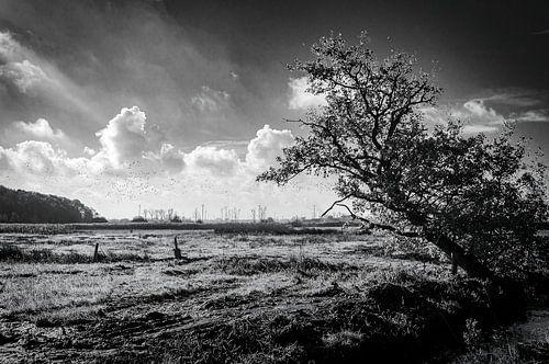 Uitwaaien op de Brabantse Wal