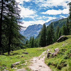 Chemin de randonnée à travers les montagnes suisses sur MaxDijk Fotografie shop
