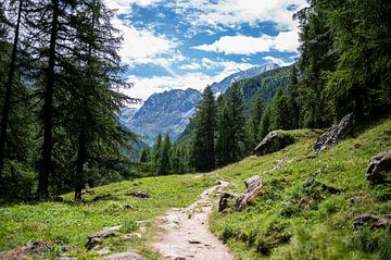 Wanderweg durch die Schweizer Berge von MaxDijk Fotografie shop