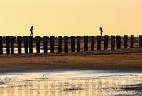 Lopen op strandpalen