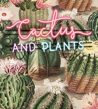 Cactus & Plants by Marja van den Hurk
