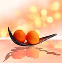 Orangen Zauberland von Tanja Riedel Miniaturansicht
