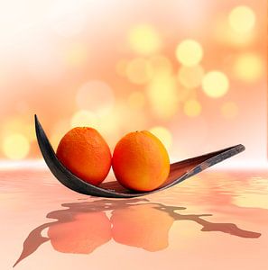 Oranges magic land