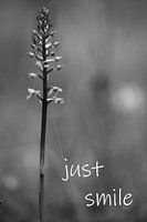 Une fleur en noir et blanc avec un slogan