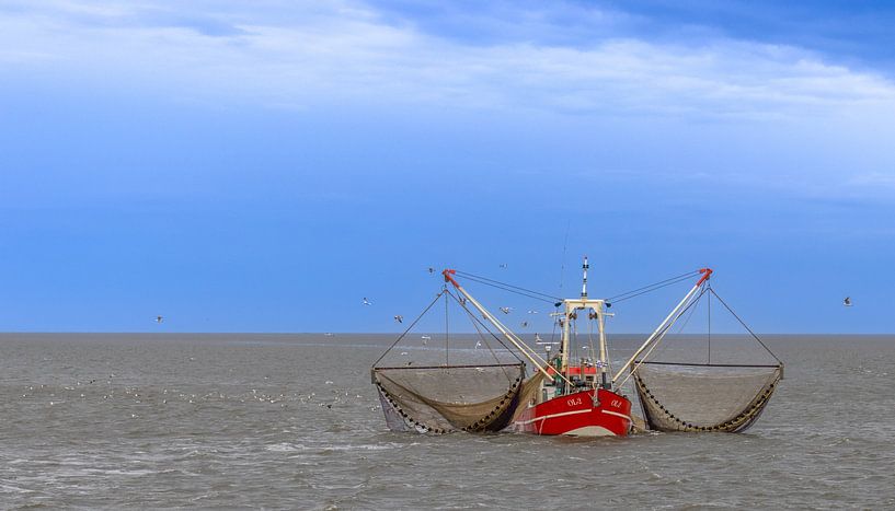 Fischerboot von Dotwood