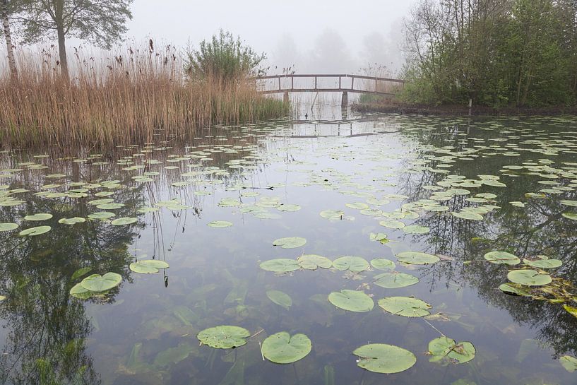 Kooikersplas in de mist par Marijke van Eijkeren