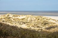 Dunes sur la côte néerlandaise par Michel van Kooten Aperçu