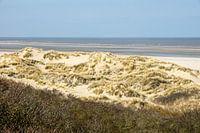 Duinen aan de Nederlandse Kust