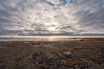 Niedrigwasser von Vogelvrij fotografie
