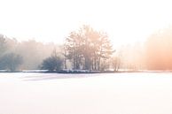 Bevroren van Ratna Bosch thumbnail