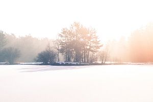 Lever de soleil gelé à Bad Bentheim, Allemagne
