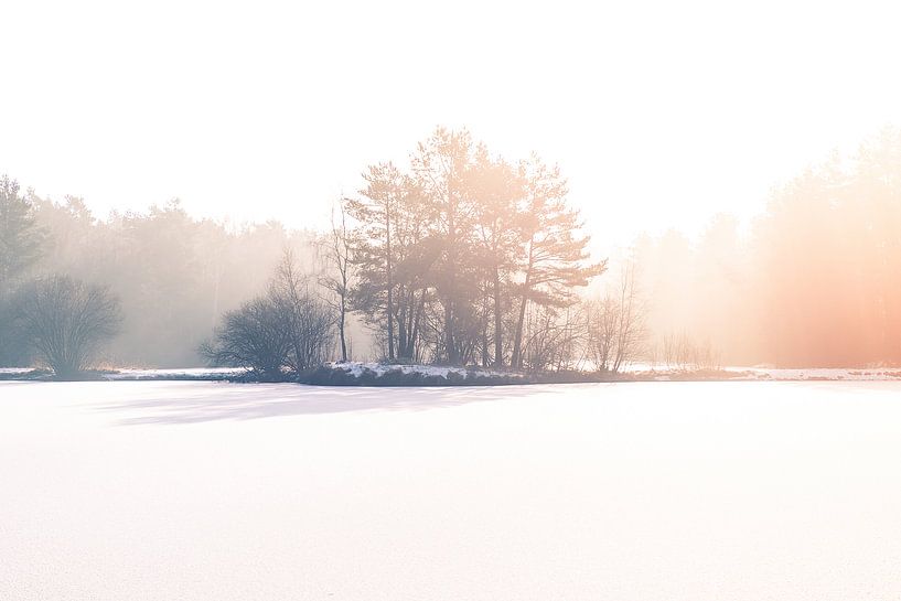 Lever de soleil gelé à Bad Bentheim, Allemagne par Ratna Bosch