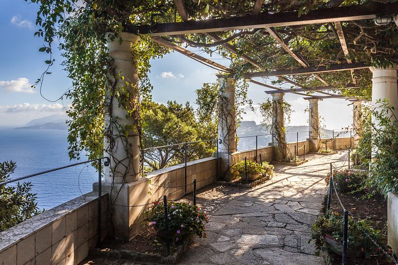 In the garden of Villa San Michele in Capri by Christian Müringer