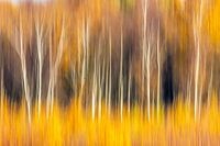herfstgloed