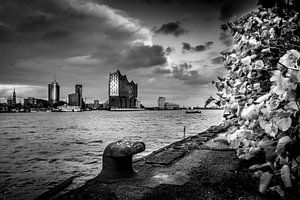 Ein herbstlicher Blick auf die Elbphilharmonie
