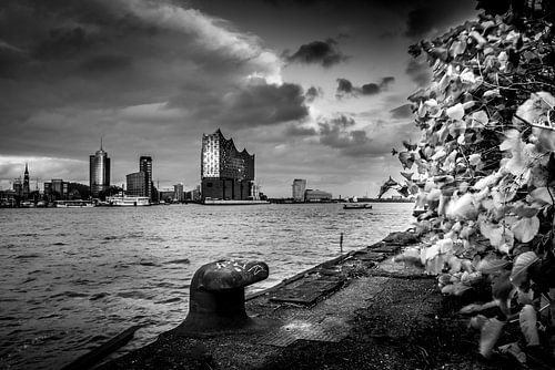 Een herfstachtig uitzicht op de Elbphilharmonie