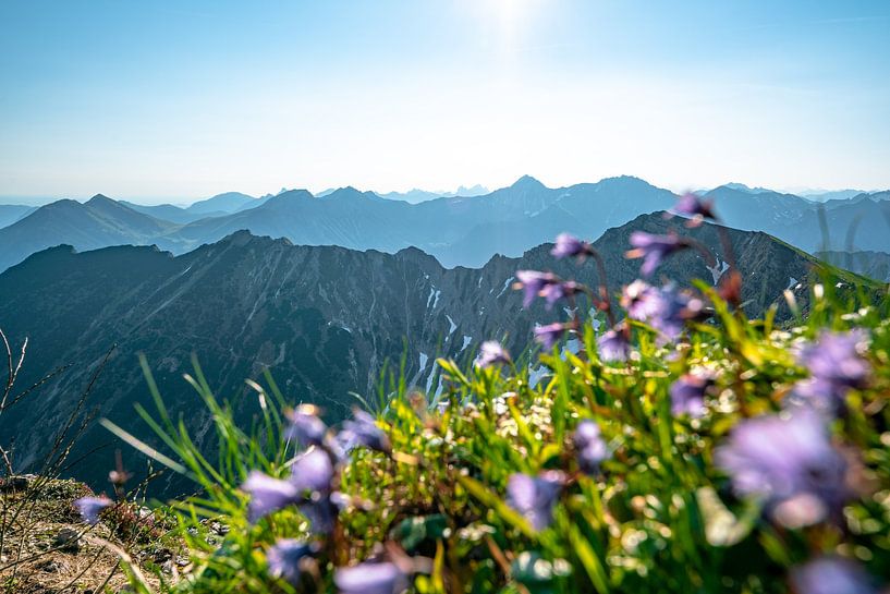 Flowery, Sunny view over the Allgäu BErgen by Leo Schindzielorz