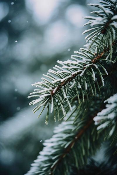 Winter Impressions No 4 by Treechild
