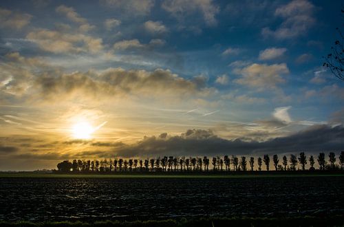 Noord Beveland, Zeeland van Teus Reijmerink