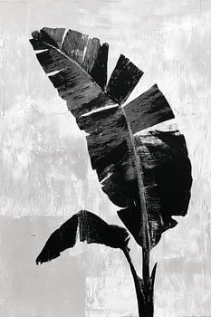 Silhouette de feuille de bananier II