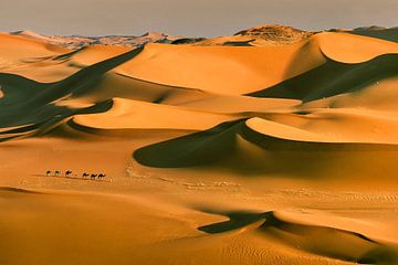 Sahara-Wüste, Kamelkarawane und Tuareg-Kameltreiber von Frans Lemmens