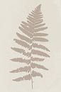 Moderne botanische kunst. Varen in beige op wit van Dina Dankers thumbnail