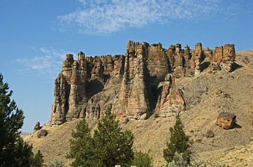 Clarno unit, John Day Fossil Beds