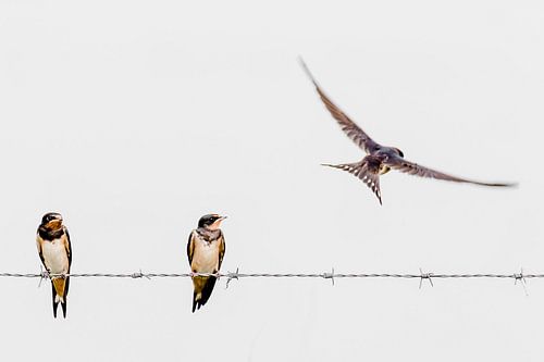 Es hat Spaß gemacht, aber ich bin weg.
