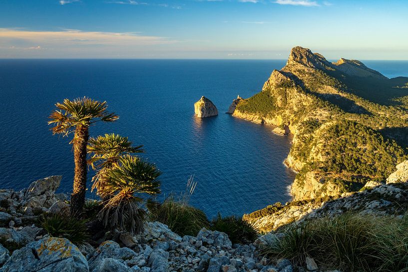 North side of Mallorca at sunset with palm tree at Albercutx Watchtower by Daniel Pahmeier