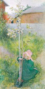 Carl Larsson,Apfelblüte