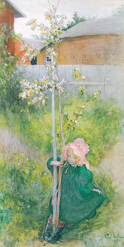 Carl Larsson,Appleblossom