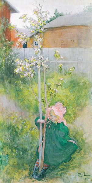 Carl Larsson,Appleblossom by finemasterpiece