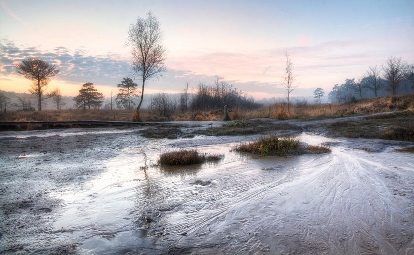 Roode Bach von peter reinders