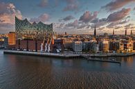 Hamburg - Elbphilharmonie (Elphi) from above by Das-Hamburg-Foto thumbnail