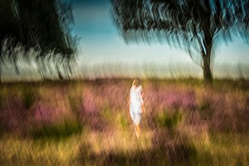 Une femme en marche sur le posbank près d'Arnhem sur Peter Smeekens