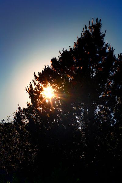 Untergehende Sonne von Jan van der Knaap