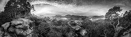Panorama de la forêt du Palatinat dans une lumière d'ambiance en noir et blanc. sur Manfred Voss, Photographie Noir et Blanc