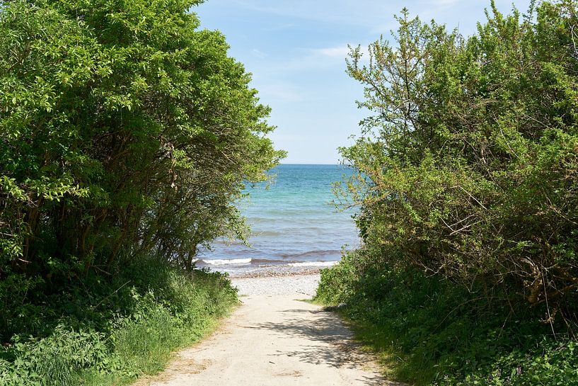 Way to the Baltic Sea Beach by Heiko Kueverling