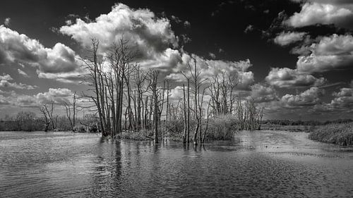 Tusschenwater De Groeve Drents Landschap