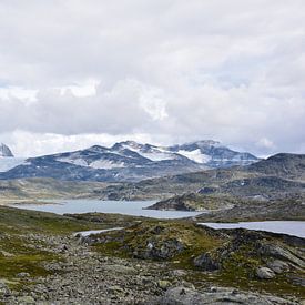 Jotunheimen National Park Noorwegen van Dennis van Amstel