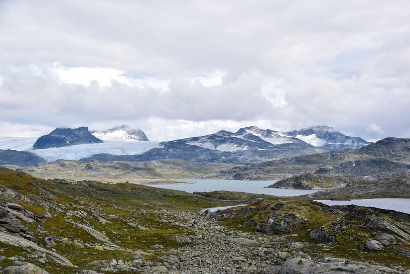 Jotunheimen Nationalpark Norwegen von Dennis van Amstel