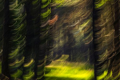 Den Wald vor lauter Bäumen nicht sehen