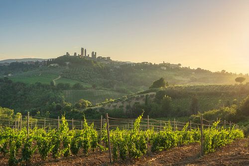 Wijngaarden op het platteland van San Gimignano. Toscane, Italië
