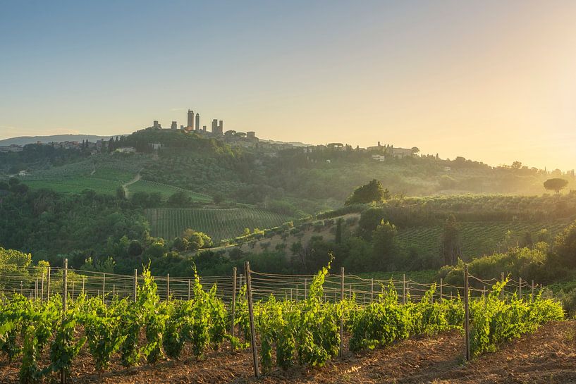 Wijngaarden op het platteland van San Gimignano. Toscane, Italië van Stefano Orazzini